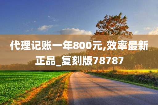 代理记账一年800元,效率最新正品_复刻版78787