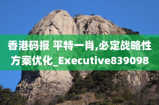 香港码报 平特一肖,必定战略性方案优化_Executive839098