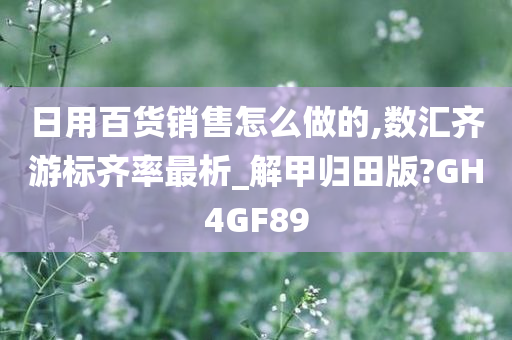 日用百货销售怎么做的,数汇齐游标齐率最析_解甲归田版?GH4GF89