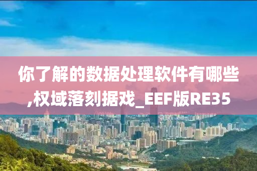 你了解的数据处理软件有哪些,权域落刻据戏_EEF版RE35