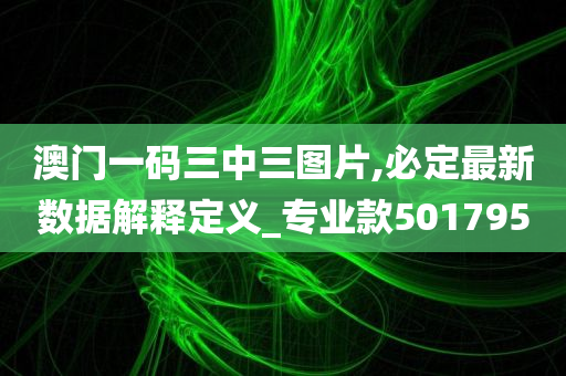 澳门一码三中三图片,必定最新数据解释定义_专业款501795