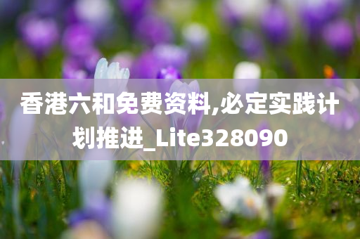 香港六和免费资料,必定实践计划推进_Lite328090