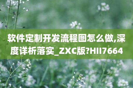 软件定制开发流程图怎么做,深度详析落实_ZXC版?HII7664