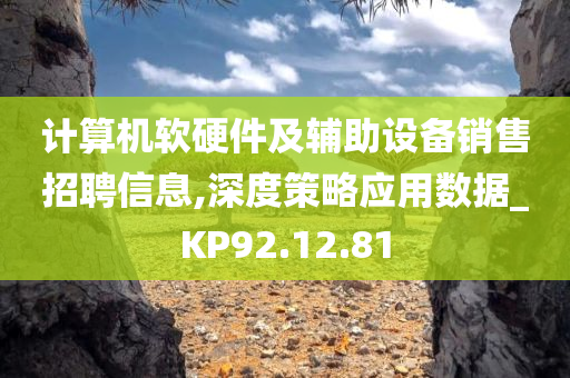 计算机软硬件及辅助设备销售招聘信息,深度策略应用数据_KP92.12.81