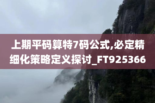 上期平码算特7码公式,必定精细化策略定义探讨_FT925366