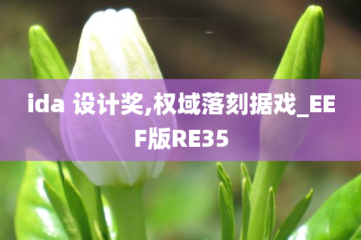 ida 设计奖,权域落刻据戏_EEF版RE35