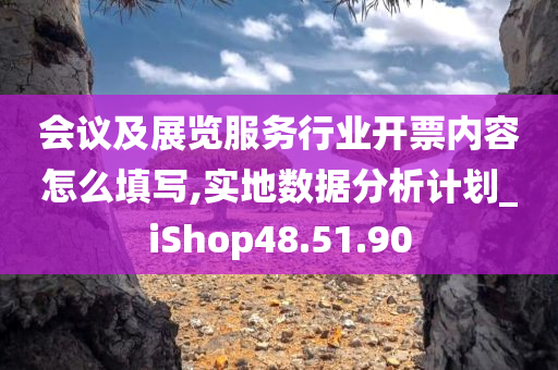 会议及展览服务行业开票内容怎么填写,实地数据分析计划_iShop48.51.90