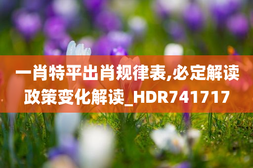 一肖特平出肖规律表,必定解读政策变化解读_HDR741717