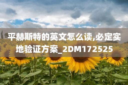 平赫斯特的英文怎么读,必定实地验证方案_2DM172525