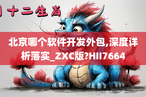 北京哪个软件开发外包,深度详析落实_ZXC版?HII7664