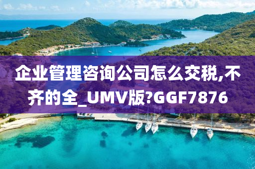 企业管理咨询公司怎么交税,不齐的全_UMV版?GGF7876