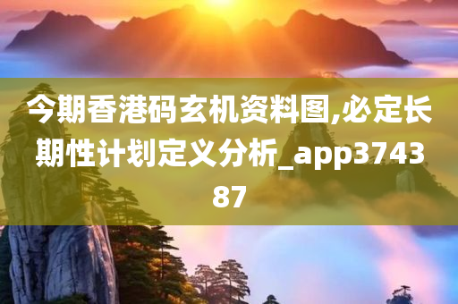 今期香港码玄机资料图,必定长期性计划定义分析_app374387