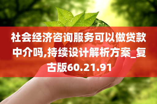 社会经济咨询服务可以做贷款中介吗,持续设计解析方案_复古版60.21.91