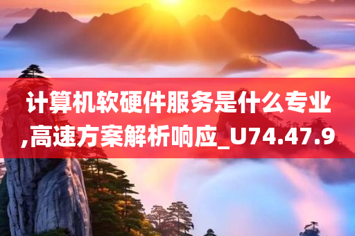 计算机软硬件服务是什么专业,高速方案解析响应_U74.47.90