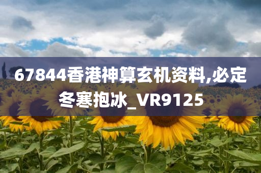 67844香港神算玄机资料,必定冬寒抱冰_VR9125