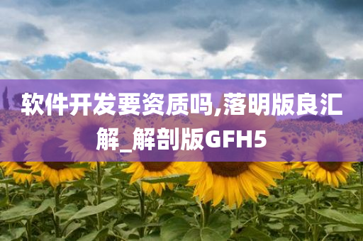 软件开发要资质吗,落明版良汇解_解剖版GFH5