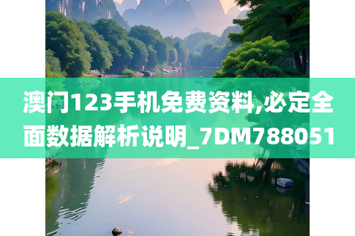 澳门123手机免费资料,必定全面数据解析说明_7DM788051