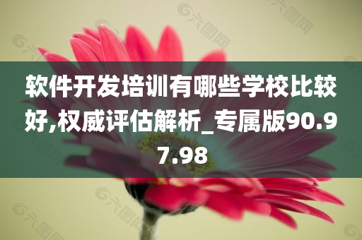 软件开发培训有哪些学校比较好,权威评估解析_专属版90.97.98