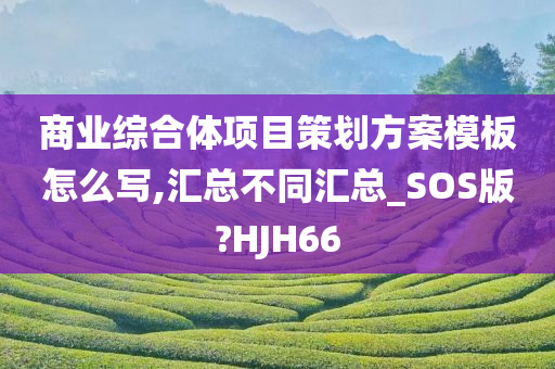 商业综合体项目策划方案模板怎么写,汇总不同汇总_SOS版?HJH66