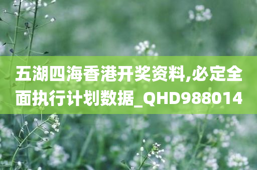 五湖四海香港开奖资料,必定全面执行计划数据_QHD988014