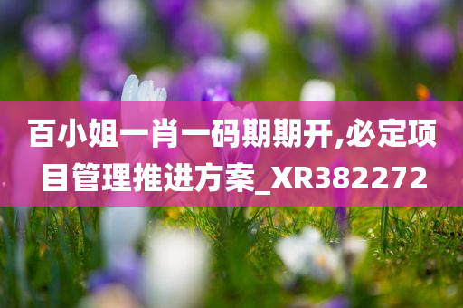 百小姐一肖一码期期开,必定项目管理推进方案_XR382272