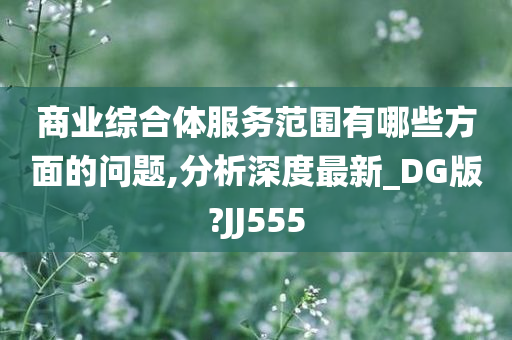 商业综合体服务范围有哪些方面的问题,分析深度最新_DG版?JJ555