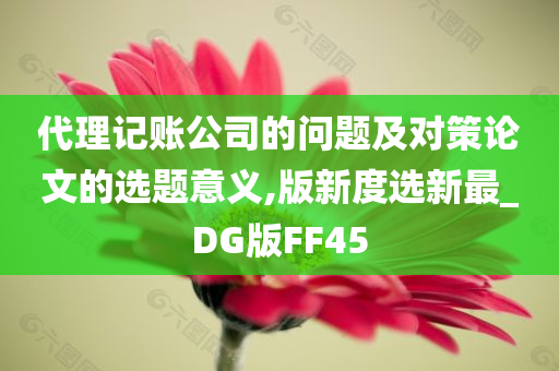 代理记账公司的问题及对策论文的选题意义,版新度选新最_DG版FF45