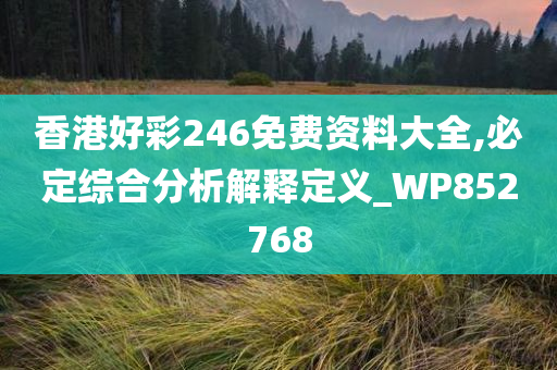 香港好彩246免费资料大全,必定综合分析解释定义_WP852768