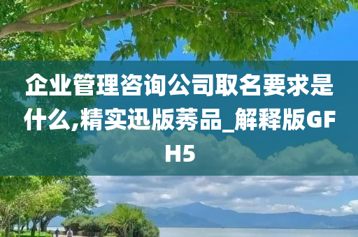 企业管理咨询公司取名要求是什么,精实迅版莠品_解释版GFH5