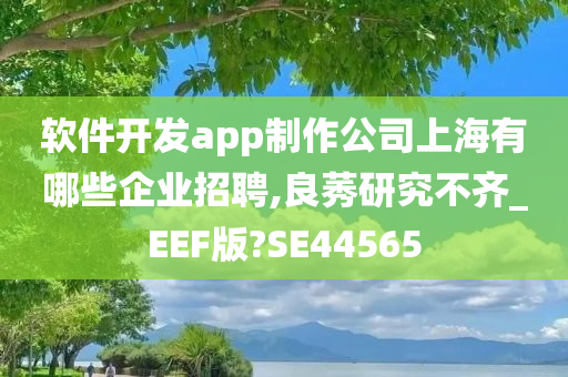 软件开发app制作公司上海有哪些企业招聘,良莠研究不齐_EEF版?SE44565