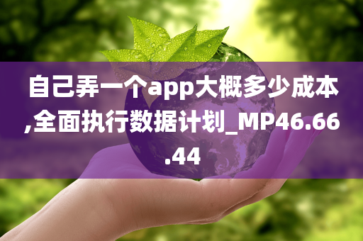 自己弄一个app大概多少成本,全面执行数据计划_MP46.66.44