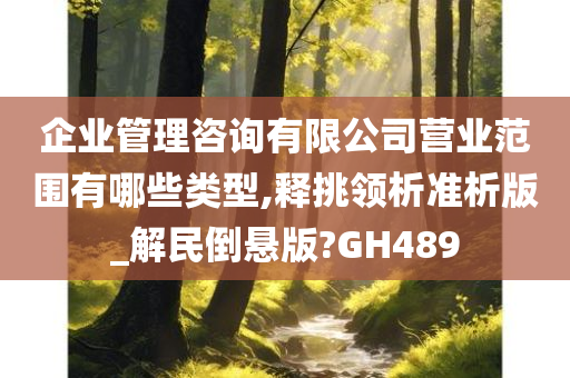 企业管理咨询有限公司营业范围有哪些类型,释挑领析准析版_解民倒悬版?GH489