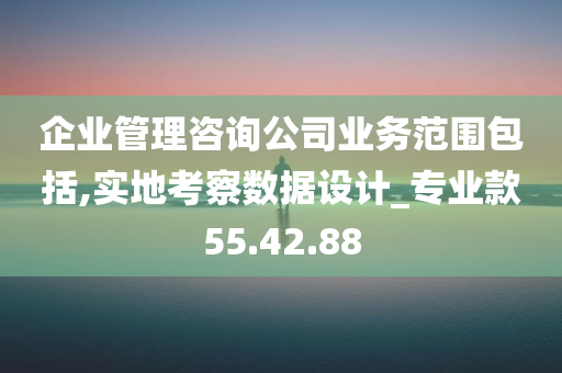 企业管理咨询公司业务范围包括,实地考察数据设计_专业款55.42.88