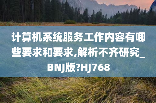 计算机系统服务工作内容有哪些要求和要求,解析不齐研究_BNJ版?HJ768