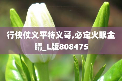 行侠仗义平特义哥,必定火眼金睛_L版808475