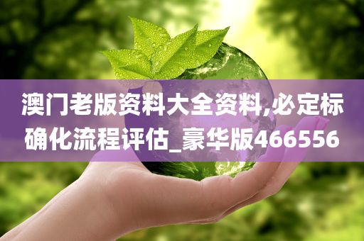 澳门老版资料大全资料,必定标确化流程评估_豪华版466556