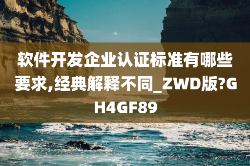 软件开发企业认证标准有哪些要求,经典解释不同_ZWD版?GH4GF89