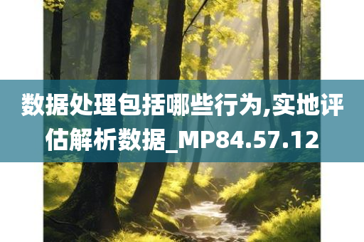 数据处理包括哪些行为,实地评估解析数据_MP84.57.12