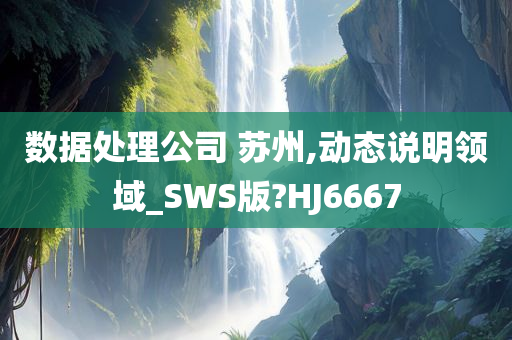 数据处理公司 苏州,动态说明领域_SWS版?HJ6667