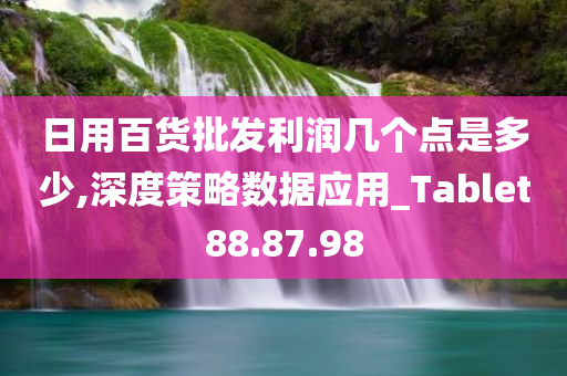 日用百货批发利润几个点是多少,深度策略数据应用_Tablet88.87.98