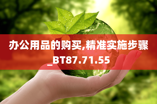 办公用品的购买,精准实施步骤_BT87.71.55