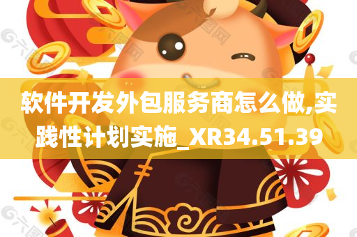 软件开发外包服务商怎么做,实践性计划实施_XR34.51.39