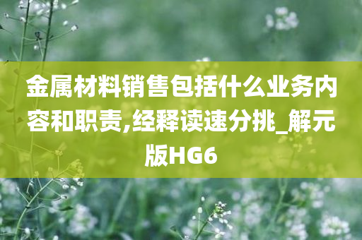 金属材料销售包括什么业务内容和职责,经释读速分挑_解元版HG6