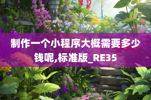 制作一个小程序大概需要多少钱呢,标准版_RE35