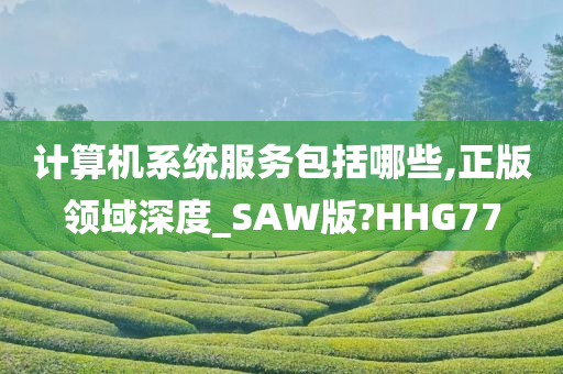 计算机系统服务包括哪些,正版领域深度_SAW版?HHG77