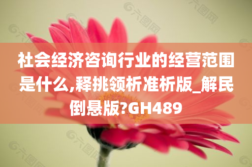 社会经济咨询行业的经营范围是什么,释挑领析准析版_解民倒悬版?GH489