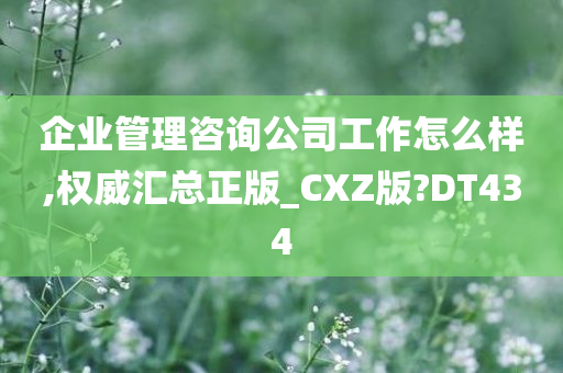 企业管理咨询公司工作怎么样,权威汇总正版_CXZ版?DT434