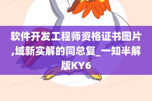 软件开发工程师资格证书图片,域新实解的同总复_一知半解版KY6