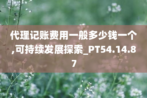 代理记账费用一般多少钱一个,可持续发展探索_PT54.14.87