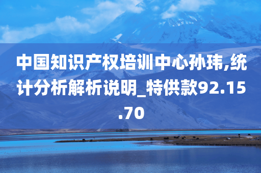 中国知识产权培训中心孙玮,统计分析解析说明_特供款92.15.70